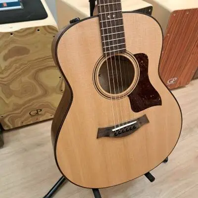 Taylor Guitars - GTE URBAN ASH 2